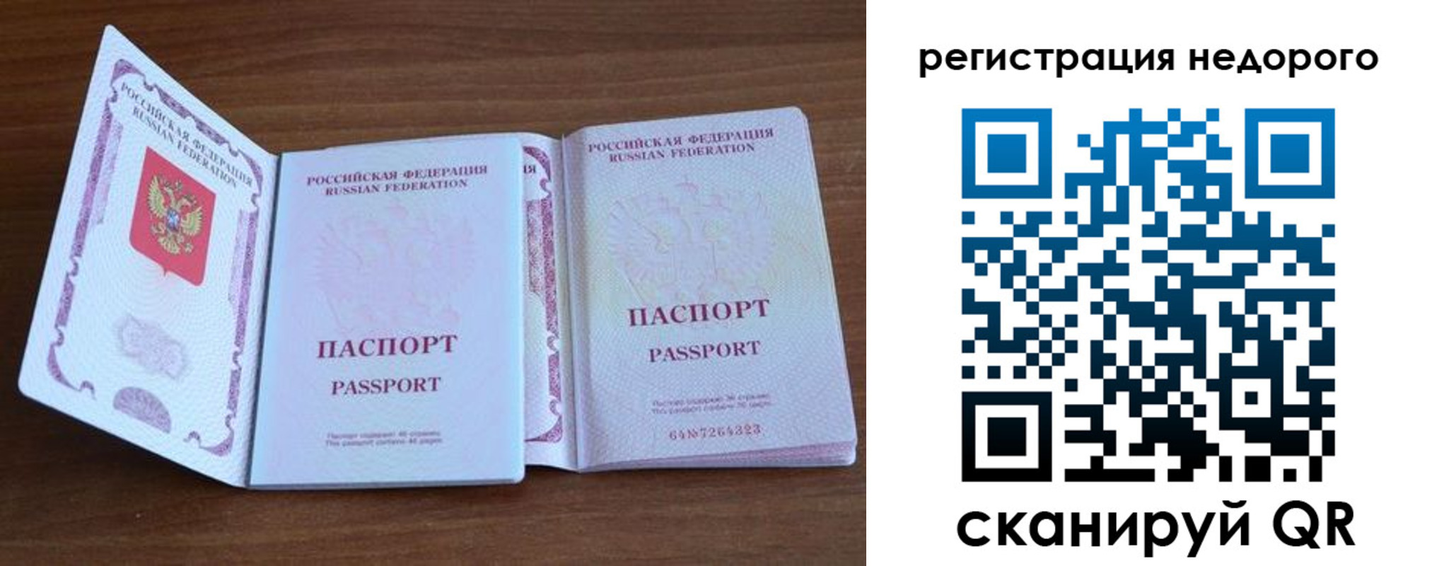 прописка 2025 в Шебекино